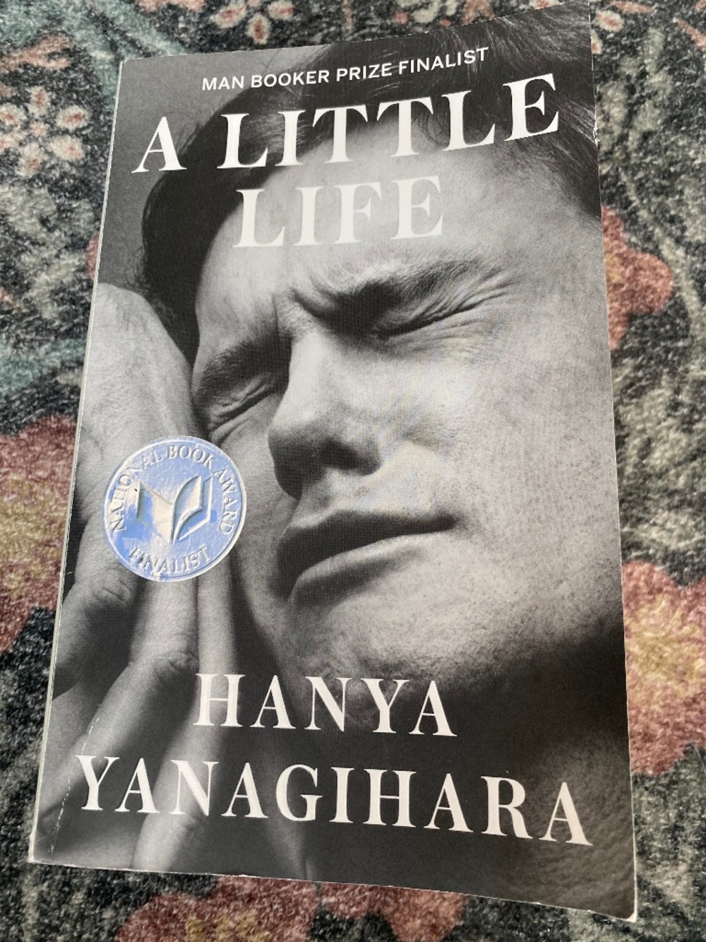 A Little Life Book Paperback